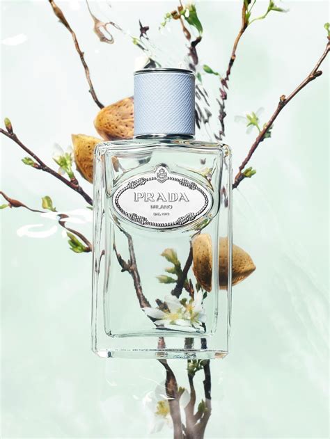 prada infusions amande|Prada almond.